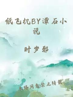 纸飞机BY潭石小说