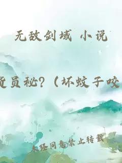 无敌剑域 小说