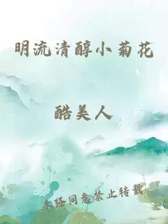 明流清醇小菊花