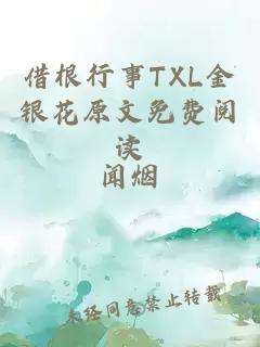 借根行事TXL金银花原文免费阅读