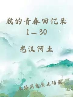 我的青春回忆录1—30