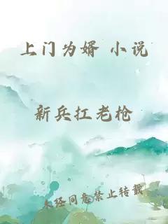 上门为婿 小说