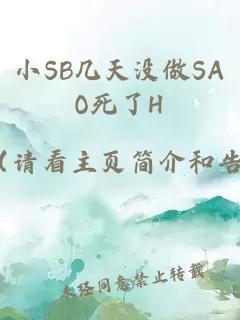 小SB几天没做SAO死了H