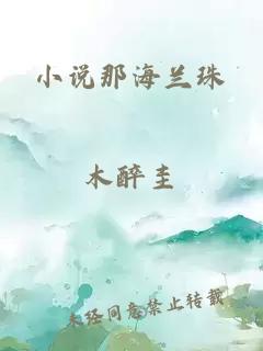 小说那海兰珠