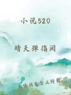 小说520