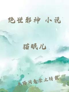 绝世邪神 小说