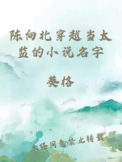 陈向北穿越当太监的小说名字