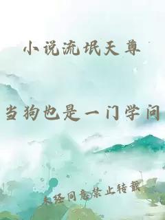 小说流氓天尊