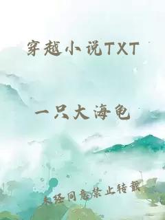 穿越小说TXT