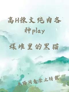 高H辣文纯肉各种play