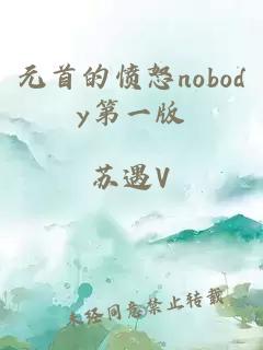 元首的愤怒nobody第一版