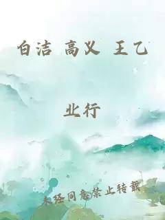 白洁 高义 王乙