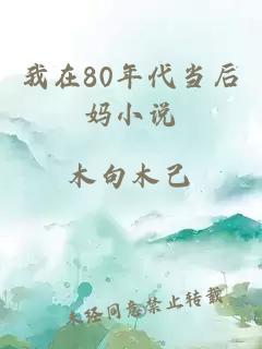 我在80年代当后妈小说