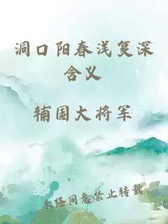 洞口阳春浅复深含义