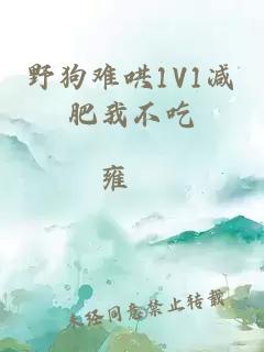 野狗难哄1V1减肥我不吃