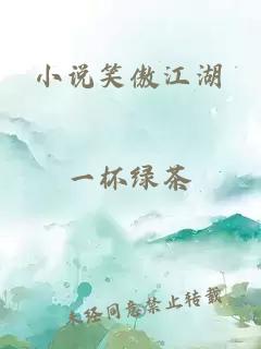 小说笑傲江湖