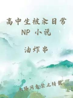 高中生被汆日常NP 小说