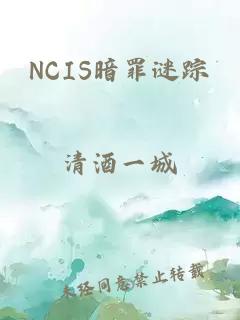 NCIS暗罪谜踪