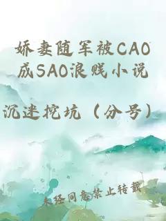 娇妻随军被CAO成SAO浪贱小说