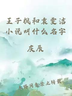 王子枫和袁雯洁小说叫什么名字