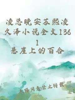 凌总晚安苏熙凌久泽小说全文1361