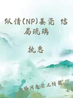 纵情(NP)姜瓷 结局琉璃