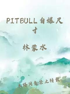 PITBULL自爆尺寸