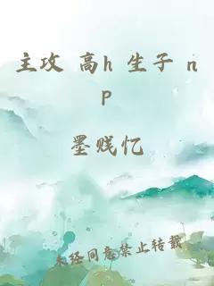 主攻 高h 生子 np