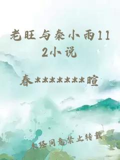 老旺与秦小雨112小说