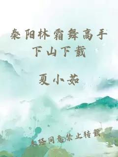 秦阳林霜舞高手下山下载