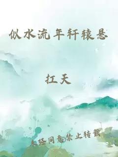 似水流年轩辕悬