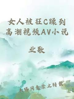 女人被狂C躁到高潮视频AV小说