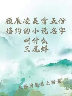 顾辰凌美雪五份婚约的小说名字叫什么