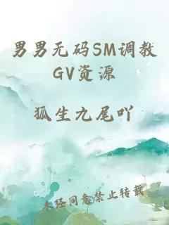 男男无码SM调教GV资源