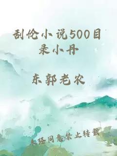 刮伦小说500目录小丹