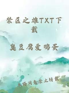 禁区之雄TXT下载