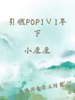 引燃POP1∨1年下