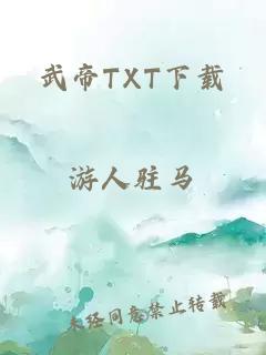 武帝TXT下载