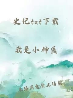 史记txt下载