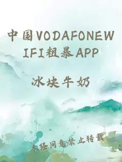 中国VODAFONEWIFI粗暴APP