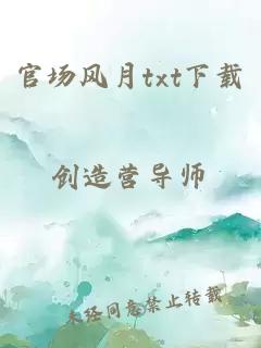 官场风月txt下载