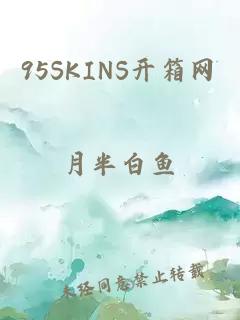 95SKINS开箱网