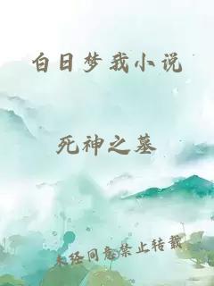 白日梦我小说