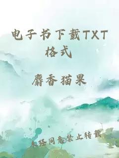 电子书下载TXT格式