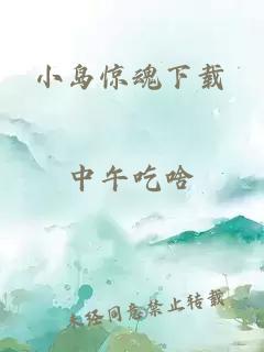 小岛惊魂下载