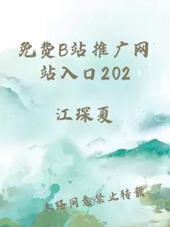 免费B站推广网站入口202