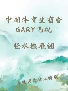 中国体育生宿舍GARY飞机