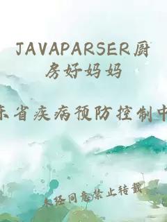 JAVAPARSER厨房好妈妈