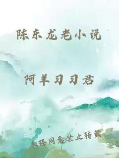 陈东龙老小说