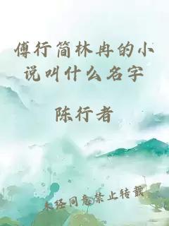 傅行简林冉的小说叫什么名字